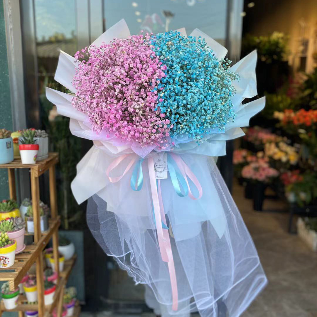 粉色蓝色满天星拼色花束 一半粉色一半蓝色包装纸也一样 白纱系腰 不包括包装直径在50公分以上 如图制作务必回图 花娃 鲜花全产业链服务平台 粉色蓝色满天星拼色花束 一半粉色一半蓝色包装纸也一样 白纱系腰 不包括包装直径在50公分以上 如图制作务必回图 花娃 鲜花全产业链服务平台
