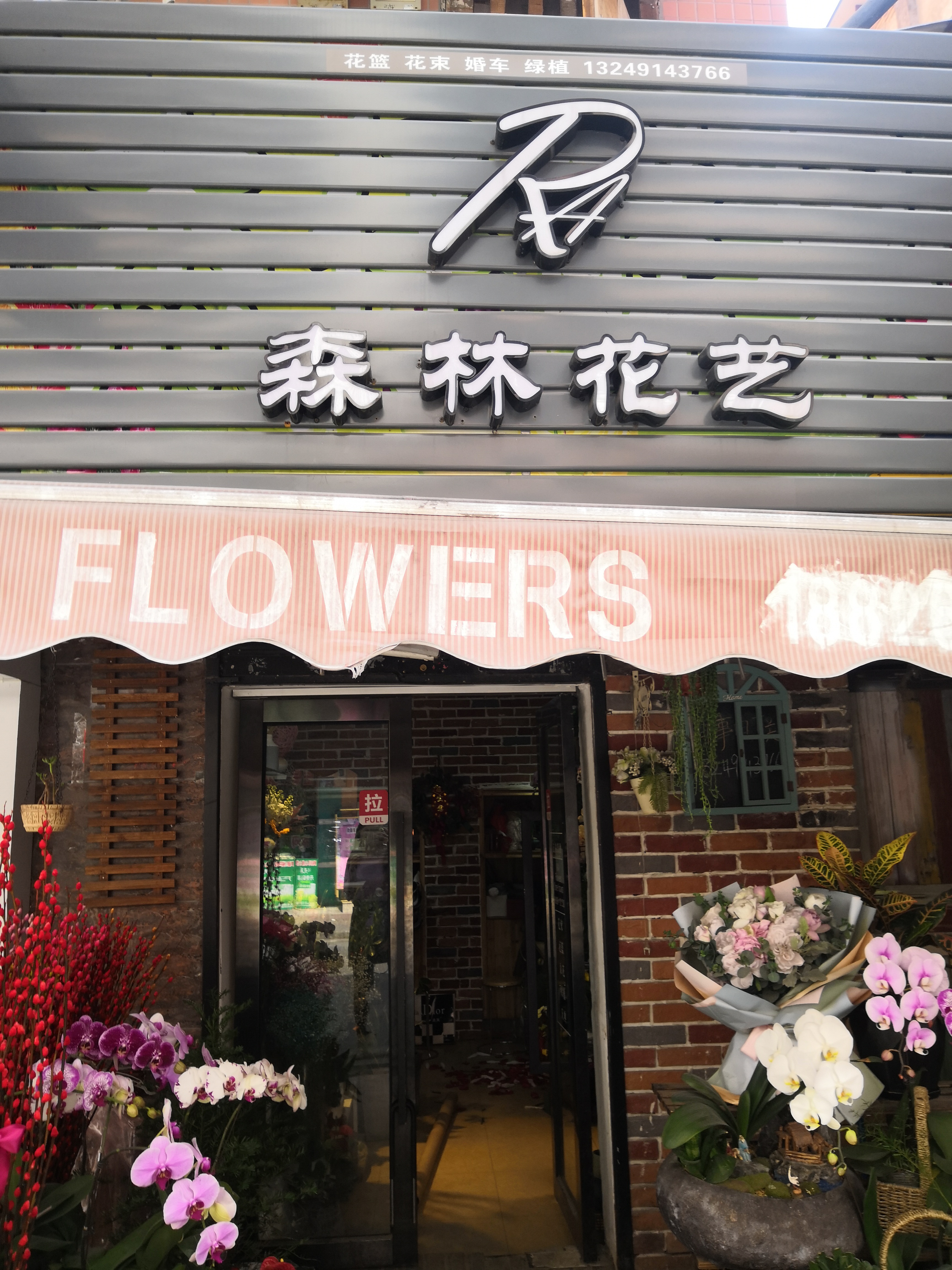 香港花市 - 知乎